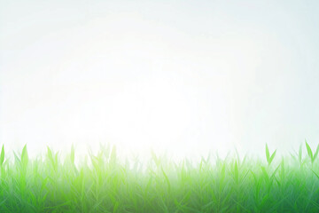 Obraz premium A clean bright background with the glare of sunlight providing copy space with fresh grass on the bottom.
