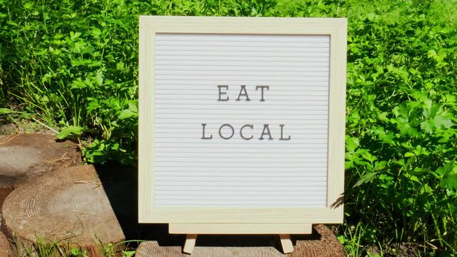 Letter board with text EAT LOCAL on background of garden bed with green herb parsley. Organic farming, produce local vegetables concept. Supporting local farmers. Seasonal market 