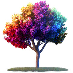 a collerful Tree isolated on white background
