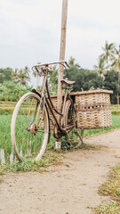 A classic bicycle with bambo-made baskets leaning against a bamboo post beside scenic rural paddy fields conveying nostalgia simplicity and rustic charm ideal for rural travel and lifestyle themes