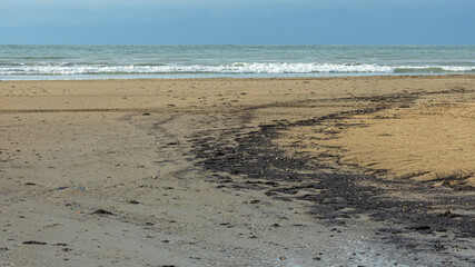 Fuel oil spill in the Kerch Strait. An ecological disaster that led to water pollution in the Black Sea and the death of animals. Pollution of nature. Fuel oil on the beach as a result of the spill.