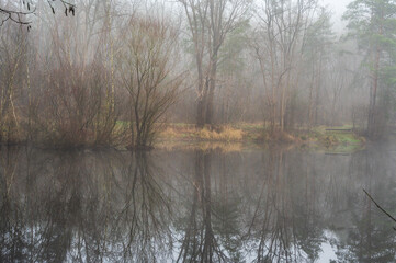Celle, 02.01.2025