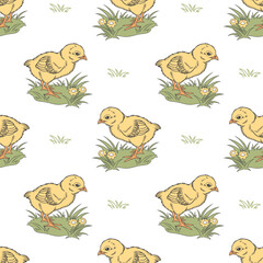 Seamless pattern with cute funny chicks and flowers. Spring background for kids, print