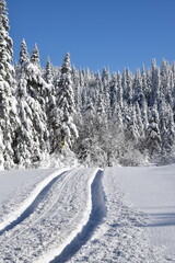 A country road in winter, Québec, Canada