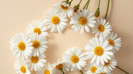 Fototapeta premium Delicate Daisy Arrangement on Soft Peach Background