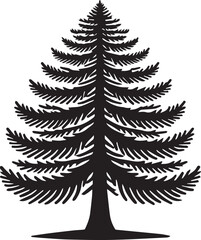 Fototapeta premium pine silhouette