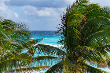 A tranquil beach scene featuring palm trees gently swaying beside the ocean waves