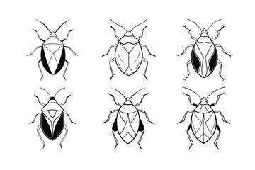 Stink Bug (Pentatomidae) silhouette design, labeled line art vector illustration.