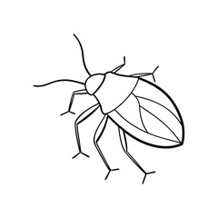 Shield Bug (Pentatomoidea) silhouette design, labeled line art vector illustration.