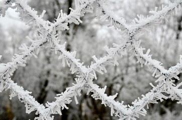 frost on an iron fence