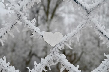 winter background frost Valentine's Day red heart