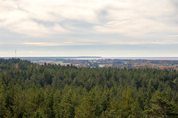 
A wide view of the forest stretching all the way to the sea, with houses and the sky with clouds in the distance.