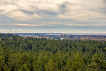 
A wide view of the forest stretching all the way to the sea, with houses and the sky with clouds in the distance.