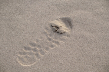 
A human footprint in the sea sand.