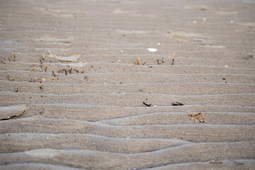 
Windblown waves of sand on the beach