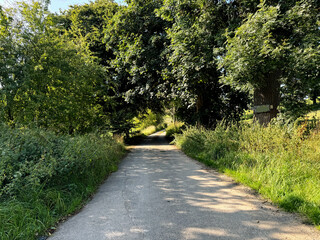 A country road is bordered by lush greenery and tall trees, casting dappled shadows on the path. Sunlight filters through the leaves, highlighting the natural beauty of the scene near, Elslack, UK