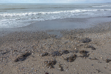 Fuel oil on a sandy beach. The spill of fuel oil in the sea leads to the death of animals and environmental pollution. An environmental disaster. Pollution of nature.