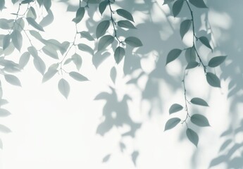 Serene Leaf Shadows on a Light Wall