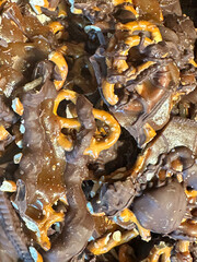 Chocolate Pretzel Candy