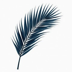 Dark palm frond on a white background
