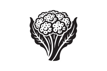simple and unobtrusive cauliflower vector silhouette illustration isolated in white background
