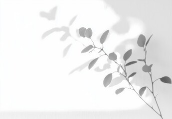 Elegant Shadow Play of Branches and Leaves
