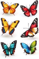 A close-up shot of various colorful butterflies on a plain white background