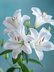 Fototapeta premium Business man having virtual team meeting on video conference call using computer. Social distance worker working from home office talking to diverse colleagues in remote videoconference online chat.