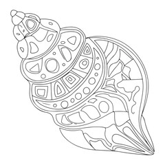 Seashell vector illustration. Black and white outline Seashell Coloring page for kids and adults. Page for relaxation and meditation. Vector illustration