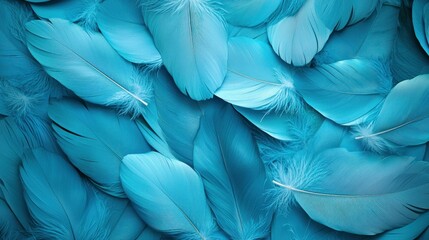 Background of soft, fluffy light blue feathers.