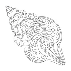 Seashell vector illustration. Black and white outline Seashell Coloring page for kids and adults. Page for relaxation and meditation. Vector illustration
