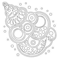 shell coloring page design clear background, mandalas design, and print design