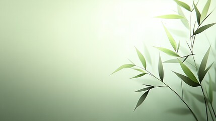 Fototapeta premium A close-up of a bamboo plant against a soft green backdrop, with a fuzzy depiction of the upper portion