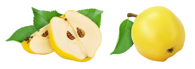 Fresh cut quince isolated on the white background  with full depth of field