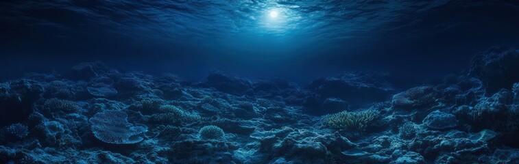 Deep Ocean Coral Reef Seascape Underwater Scene
