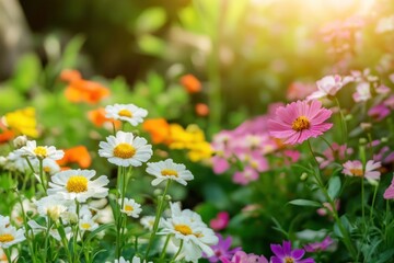Colorful Wildflowers in a Sunny Garden