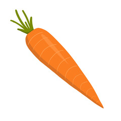 Carrot