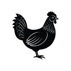 Chicken Silhouette Vector, Hen Silhouette Vector, Domestic Hen Silhouette Vector