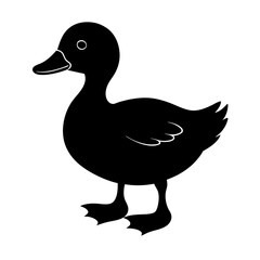 Duckling Silhouette vector illustration