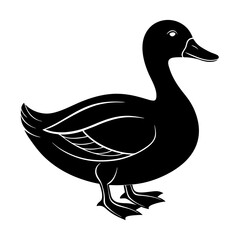 Duck Silhouette vector illustration