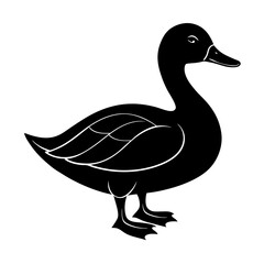 Duck Silhouette vector illustration