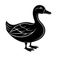 Duck Silhouette vector illustration