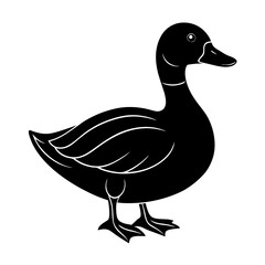 Duck Silhouette vector illustration