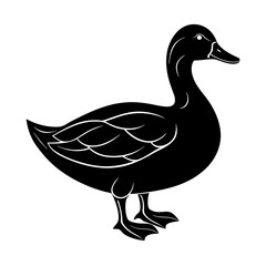 Duck Silhouette vector illustration