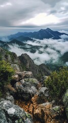 Obraz premium Majestic mountain landscape with lush greenery and misty clouds at dawn