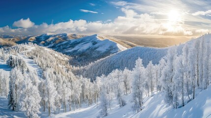 Scenic winter landscape of a birch grove in the mountains blanketed with fresh snow under a bright blue sky and warm sunlight