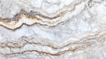 Elegant polished marble surface with intricate white veins perfect for luxurious wall and floor tiles showcasing opulent textures.