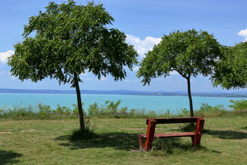 On the lake shore.