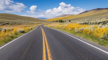 Vibrant yellow wildflowers lining a picturesque road under a bright blue sky with fluffy clouds.
