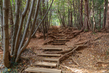高尾山稲荷山コース